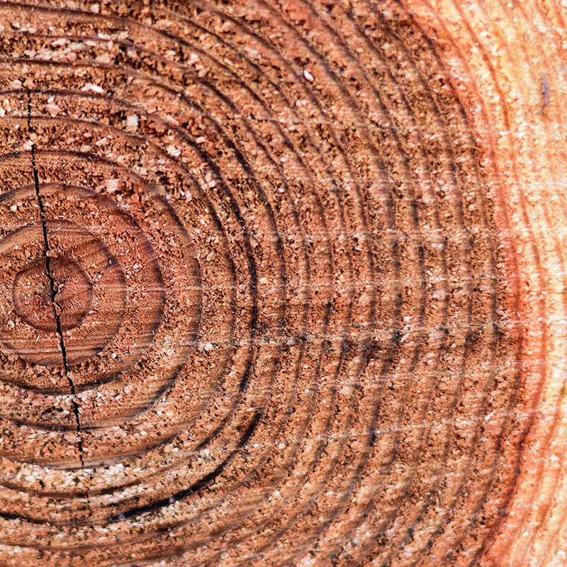 110wood